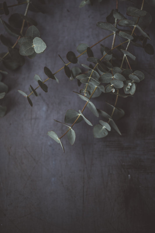 Eucalyptus Spa Candle