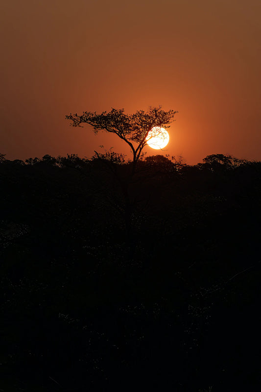 African Moon Candle