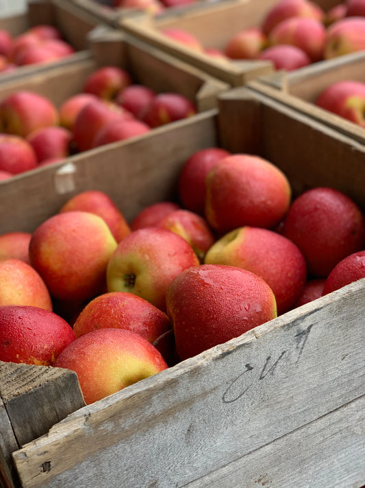 Rustic Apple Grove Candle