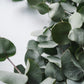Eucalyptus Spa Shower Mist